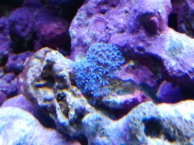 2012-02-02 19.04.55.jpg