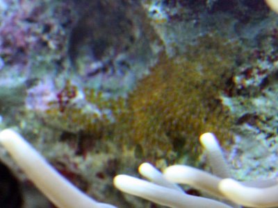 IMG_7860_1.jpg