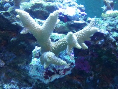 2012-02-25 19.18.25.jpg