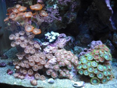 Sept 21, 2010 065.jpg