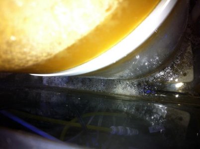 photo 3.jpg