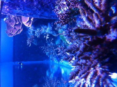 photo 5.jpg