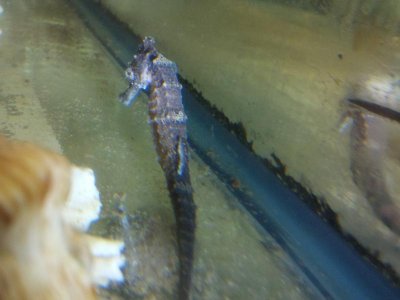 2012-03-16_10-02-43_808.jpg
