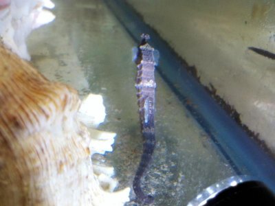 2012-03-16_10-02-22_44.jpg