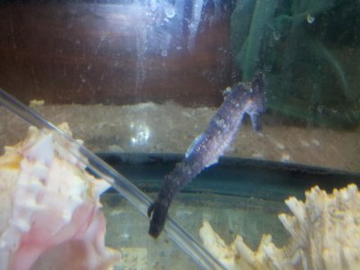 2012-03-16_10-13-10_959.jpg