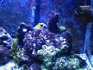 IMG_0002.jpg