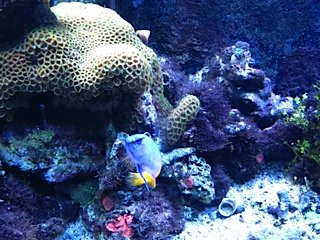 IMG_0003.jpg