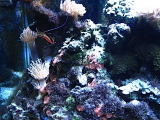 IMG_0004.jpg