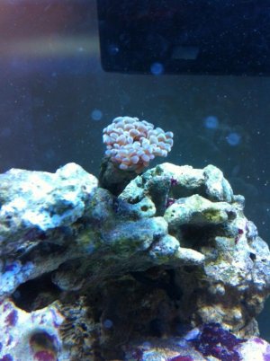 fish3.jpg