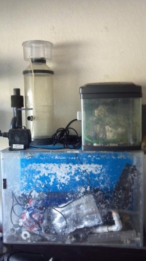 2012 MC show okc 007.jpg