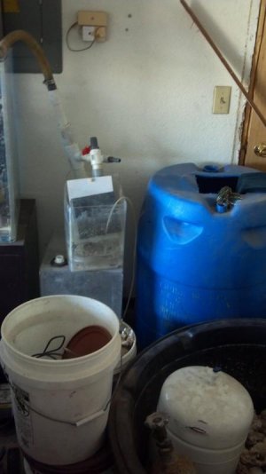 2012 MC show okc 009.jpg