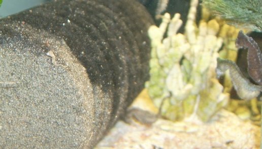 babyOnSponge.JPG