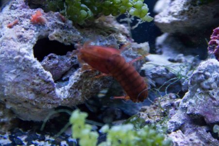 IMG_2486.jpg