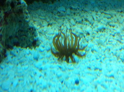 photo (9).jpg
