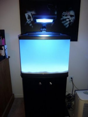 P1000759 (480x640).jpg