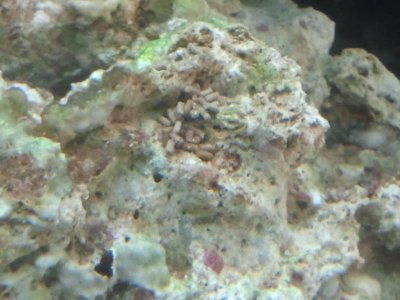 2012-03-01 15.25.18.jpg