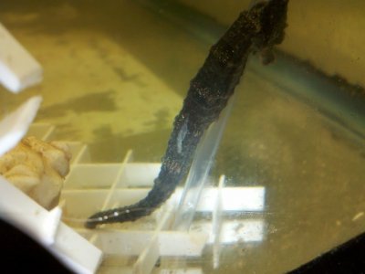 2012-03-19_15-00-46_146.jpg