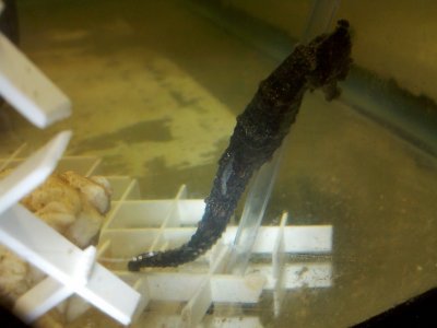 2012-03-19_15-00-56_328.jpg