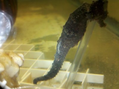 2012-03-19_15-01-22_448.jpg