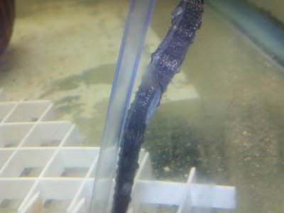 2012-03-19_15-03-09_150.jpg