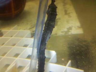 2012-03-19_15-04-02_794.jpg