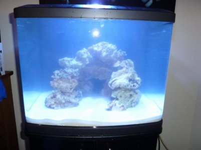 P1000761 (640x480).jpg