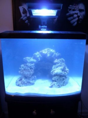 P1000763 (480x640).jpg