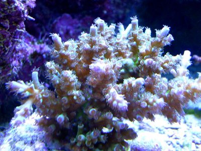 DSCN6353.jpg
