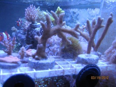 IMG_2731.jpg