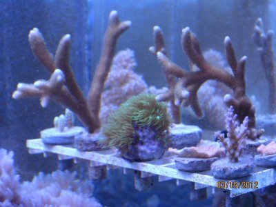 IMG_2732.jpg