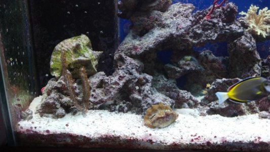 Inside Tank View.jpg