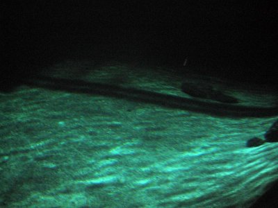 100-w-LED.jpg