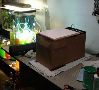 2012-03-01-1.jpg