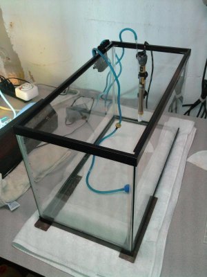 2012-03-01 18.50.25.jpg
