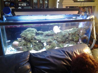2012-03-02 15.49.09.jpg