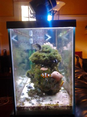 2012-03-02 15.46.59.jpg