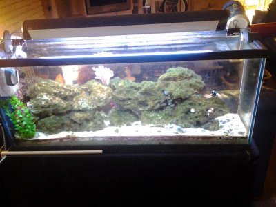 2012-03-02 15.48.47.jpg