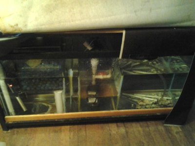 2012-03-02 15.51.54.jpg