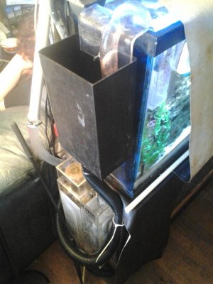 2012-03-02 15.52.32.jpg