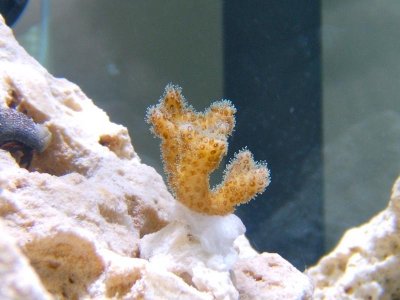 DSCF6394.jpg