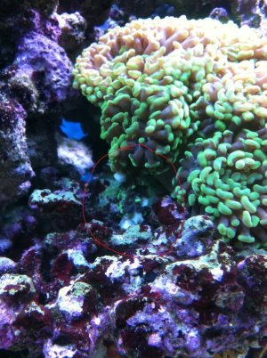 IMG_1290.jpg