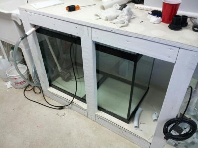 Image 1.jpg Image 1.jpg