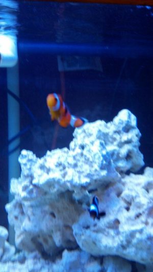 2012-03-22_17-04-19_41.jpg