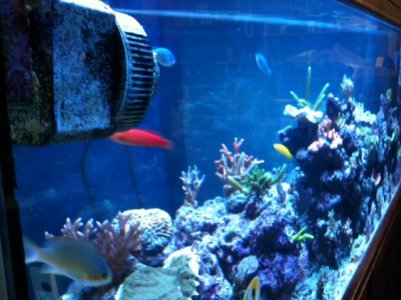 6100left to right.jpg