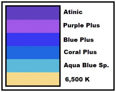 T-5Color.JPG