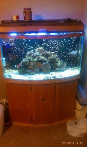 IMAG0284.jpg