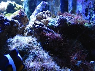IMG_0009.jpg