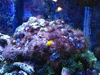 IMG_0008.jpg