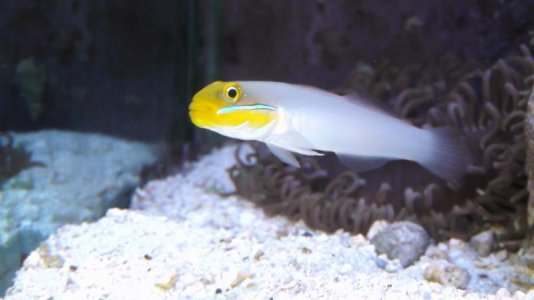 fish tank 008.jpg