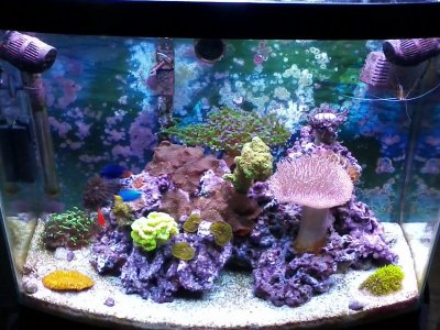Bow 3-6-12.jpg